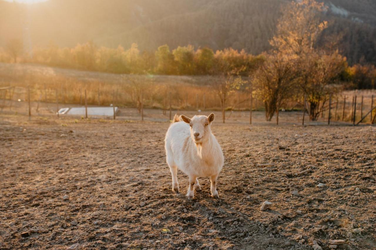 Agriturismo Le Piagge Ponzone ภายนอก รูปภาพ